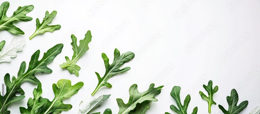 Poster fresh arugula leaves in varying shades of green on a white background showcasing vibrant freshness a