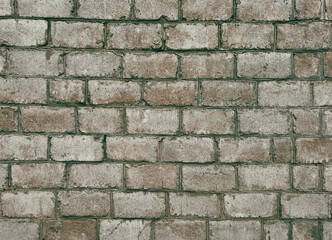 A brick wall with a greenish tint