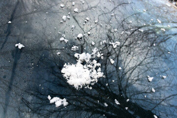 Detailed view of snow on a car windshield, reflecting bare tree branches. A serene winter scene perfect for illustrating cold weather, nature, and seasonal themes.