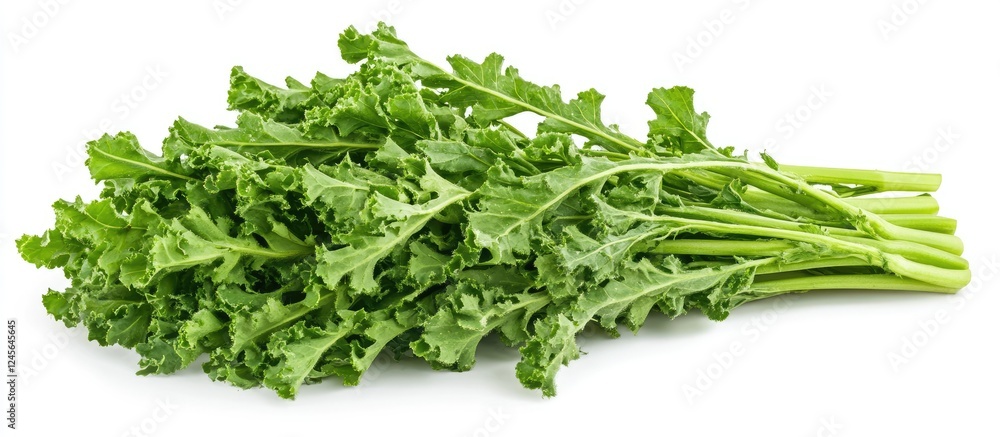 Poster vibrant green loroco fern vegetable arranged on a clean white background showcasing its unique shape