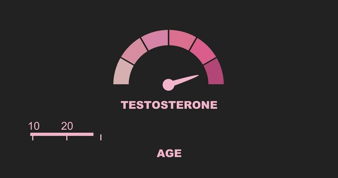 Human age and testosterone scales. The measuring progress bar. Dependence of testosterone levels on age.