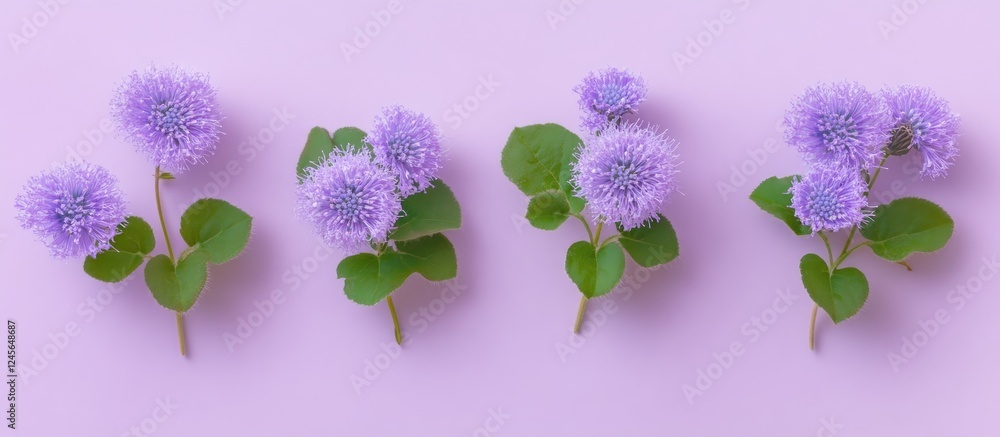 Poster delicate purple flowers with round clusters arranged symmetrically on a soft pink background highlig
