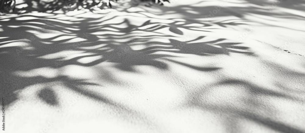 Aufkleber abstract black and white shadows of tropical leaves on smooth sand create unique patterns with soft 