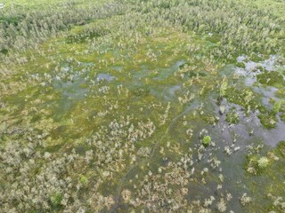 Aerial view of natural lake or swamp in Lampung, Indonesia.