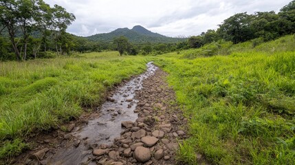 Cultural iconic Thailand, A serene landscape featuring a winding stream surrounded by lush greenery and distant mountains under a cloudy sky.