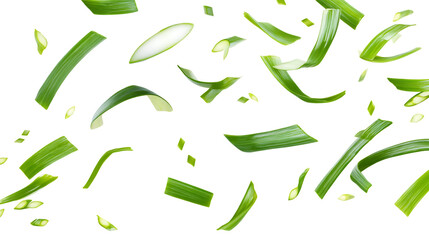 Falling green onion slices, cut chives isolated on transparent or white background