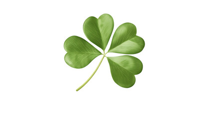 Four leaf clover isolated on transparent or white background