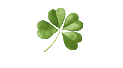Four leaf clover isolated on transparent or white background