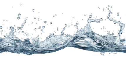 Water bubbles isolated on transparent or white background