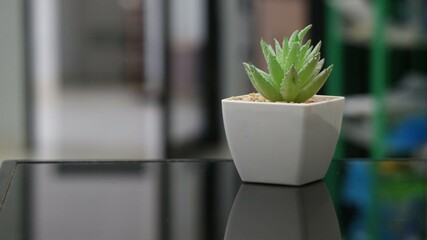 synthetic ornamental plants for indoors
