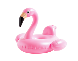 pink swan isolated on white