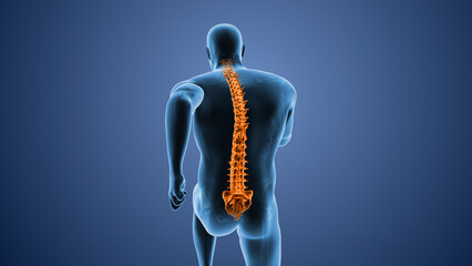 Medical figure with spinal cord pain highlighted