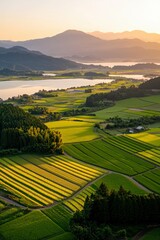 Naklejka premium Serene Sunset Over Lush Green Valley Farmlands