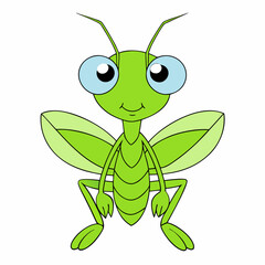 Praying Mantis Close-Up on White Background, High Resolution