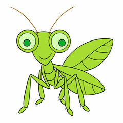 Praying Mantis Close-Up on White Background, High Resolution