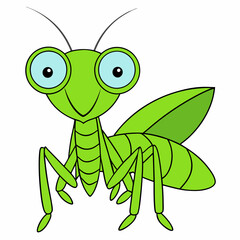 Praying Mantis Close-Up on White Background, High Resolution