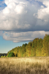 Obraz premium Field of tall grass with a cloudy sky in the background