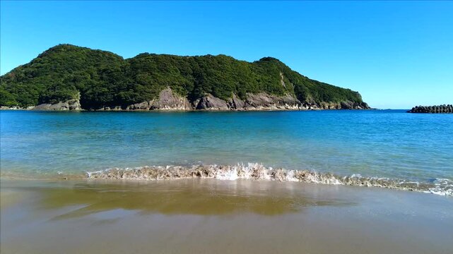 野生の猿が生息する日南海岸の幸島