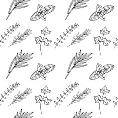 Herbs and spices seamless background, sketch, hand drawing, vector illustration