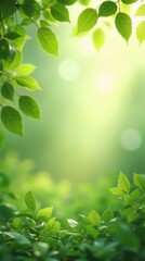 Obraz premium Sunlit Green Canopy 
