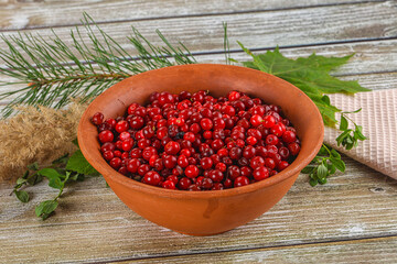 Natural organic wild forwst lingonberry