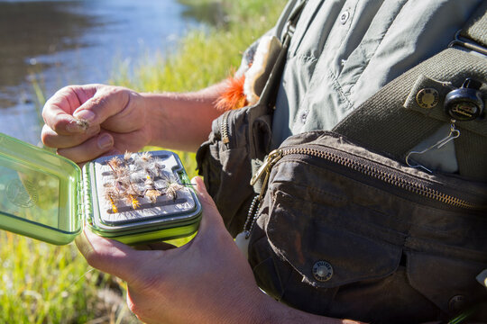 Fly Fisherman chooses his favorite fly