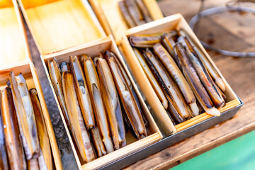 Fresh razor clams neatly arranged in wooden boxes