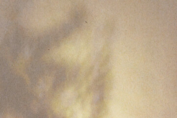 Abstract silhouette shadow white background of natural leaves tree branch falling on wall....