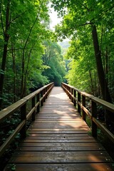 Wooden boardwalk spans Daintree River, vibrant green canopy overhead , canopy, river, australian