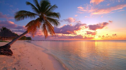 Fototapeta premium Tropical sunset beach paradise; calm ocean, palm tree