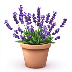 Fototapeta premium Lavender plant with delicate purple flowers and calming properties, isolated on white background