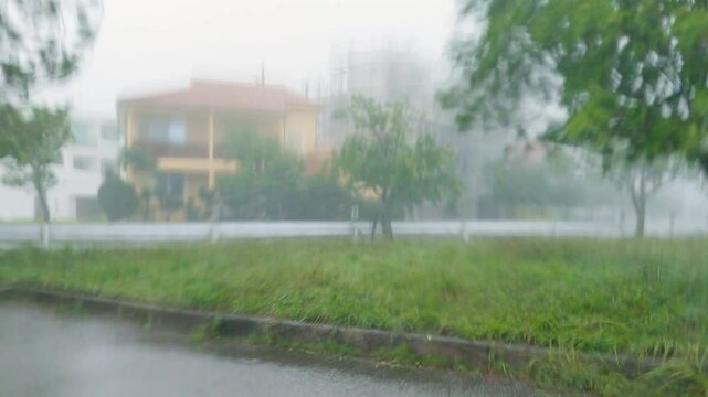 Thrashing Trees Heavy Rain As Hurricane Hits Town - Khanun