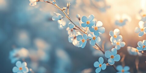 Delicate blue forget-me-not flowers in soft focus against a gentle light background, showcasing intricate petals and peaceful spring ambiance.