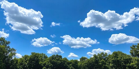 Obraz premium Vibrant blue sky filled with fluffy white clouds above a lush green forest of trees creating a serene natural landscape showcasing tranquility.