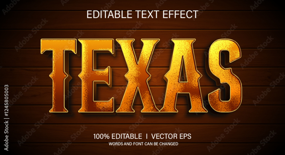 Poster texas 3d vector text effect with modern style design