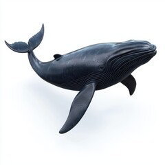 Fototapeta premium giant whale swimming in deep blue water, isolated on white