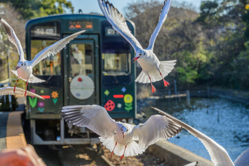 浜名湖佐久米駅　かもめと電車