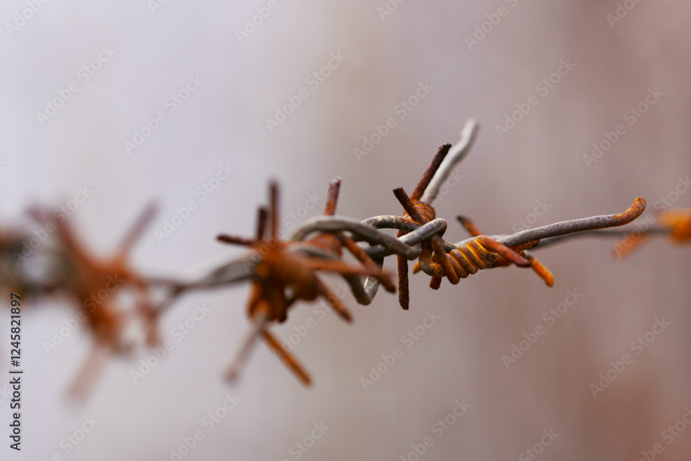 Poster close up shot of barbed wire, suitable for use in images about security, borders, or confinement.
