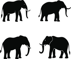 Fototapeta premium elephant silhouette vector style image
