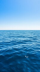 Fototapeta premium Calm ocean, sunny day, horizon, blue sky, travel background