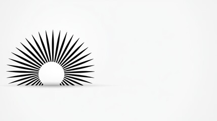 Abstract black sunburst design with radiating spikes on a minimalist white background
