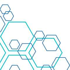 Hexagon Outline Corner