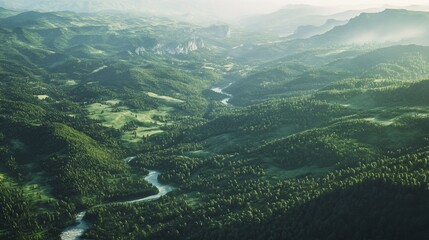 Fototapeta premium Aerial view of a valley covered with lush green forests and winding rivers