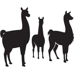 Fototapeta premium Different style llama silhouettes set animal pack of vector silhouette design