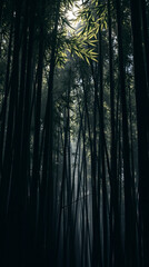 Naklejka premium Japanese bamboo forest phone wallpaper background Japan | generative AI