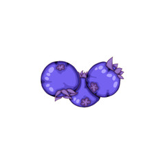 three ripe blueberries.