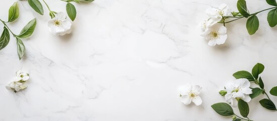 Elegant white marble background with floral accents and ample space for text or branding. Ideal for invitations or promotional materials.