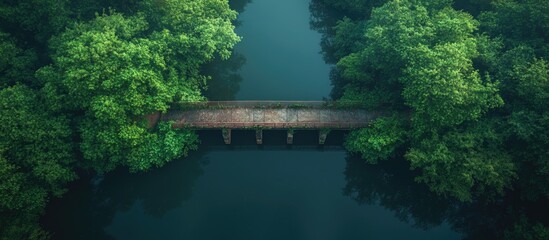 Fototapeta premium Aerial view of an abandoned concrete bridge surrounded by lush greenery over a tranquil river in a serene natural landscape.