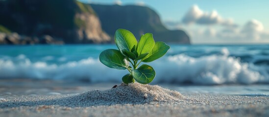 Coastal wild plant thriving on sandy beach with gentle waves and picturesque cliffs in the background during a sunny day
