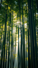 Fototapeta premium Japanese bamboo forest phone wallpaper | generative AI
